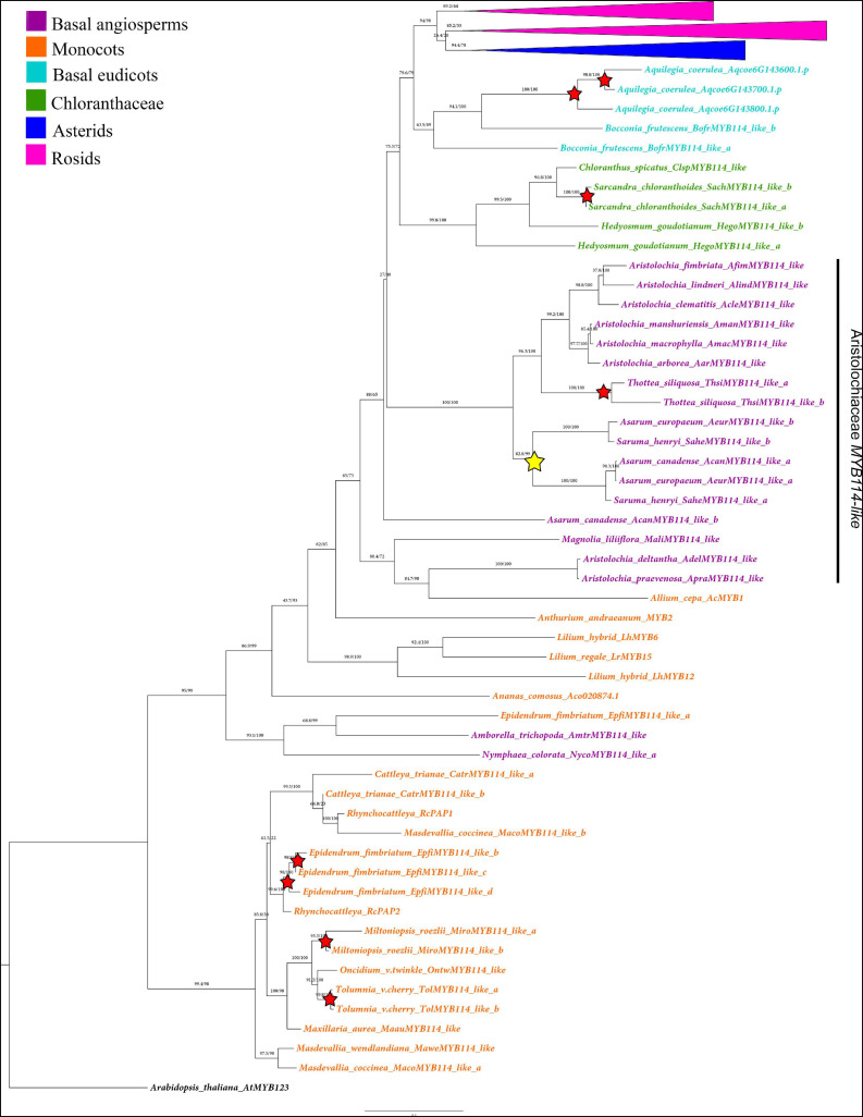 FIGURE 2