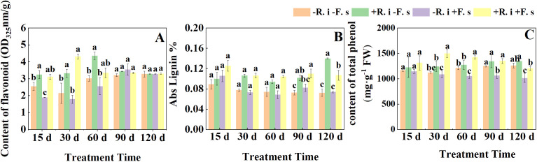 Figure 4