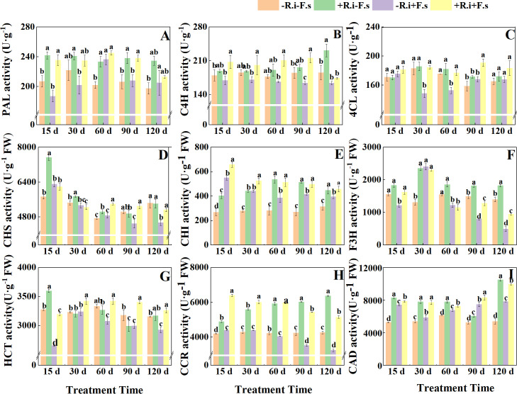 Figure 3