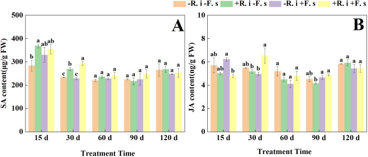 Figure 5