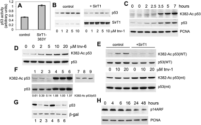 Figure 6