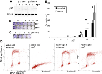 Figure 3