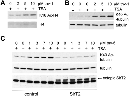 Figure 7