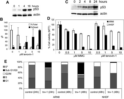 Figure 2