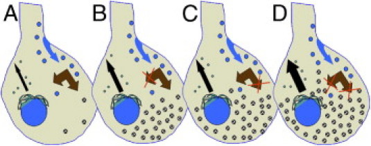 Figure 8