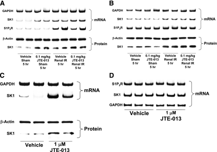 Figure 12.