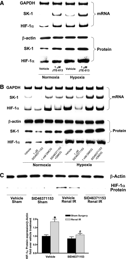 Figure 11.