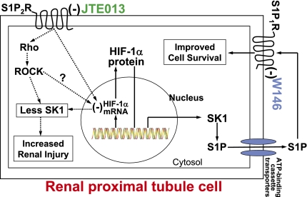 Figure 13.