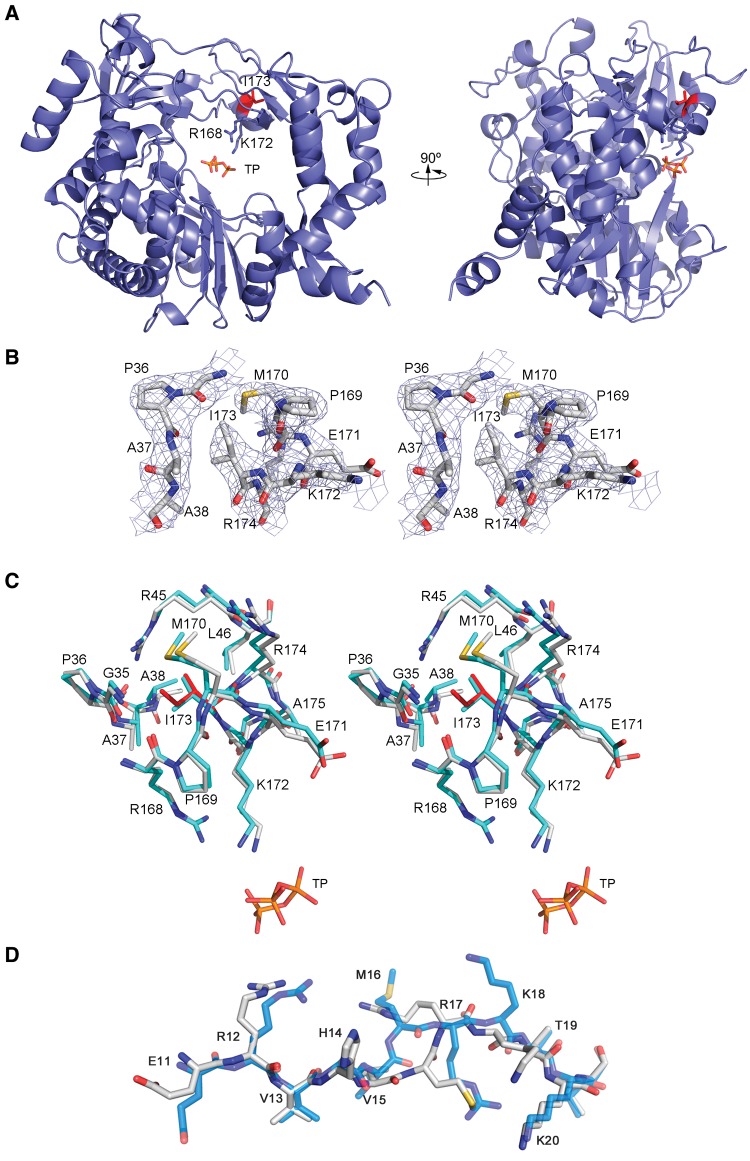 Fig. 3.—