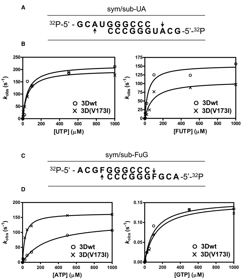 Fig. 2.—