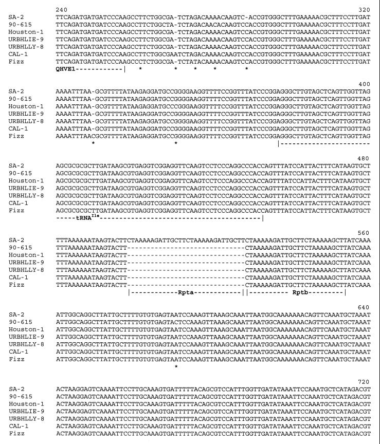 FIG. 3