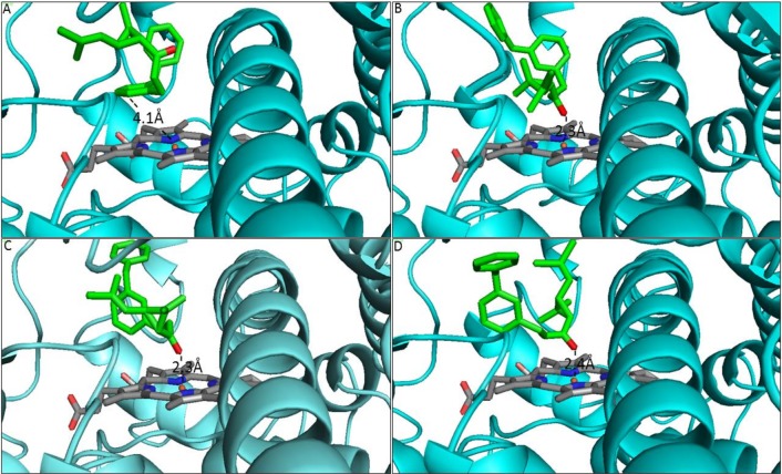 Fig 3