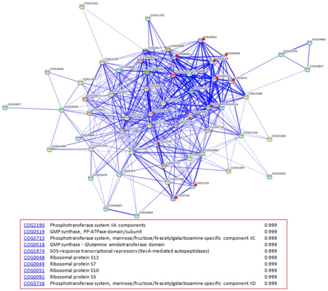 Fig 3