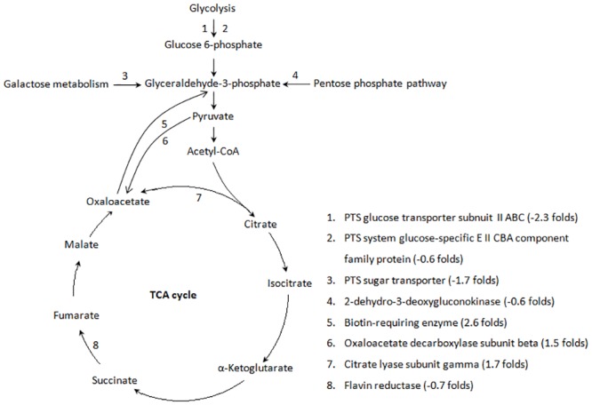 Fig 4