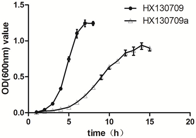 Fig 5