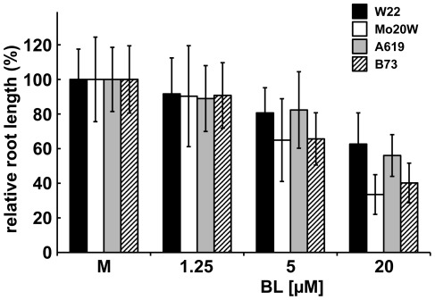 Figure 9