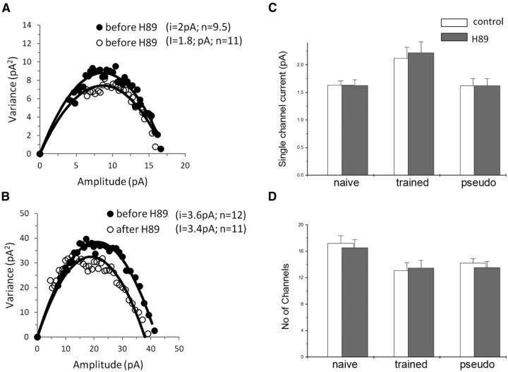 Figure 10.