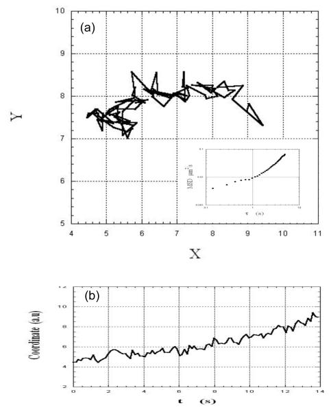 Fig.3