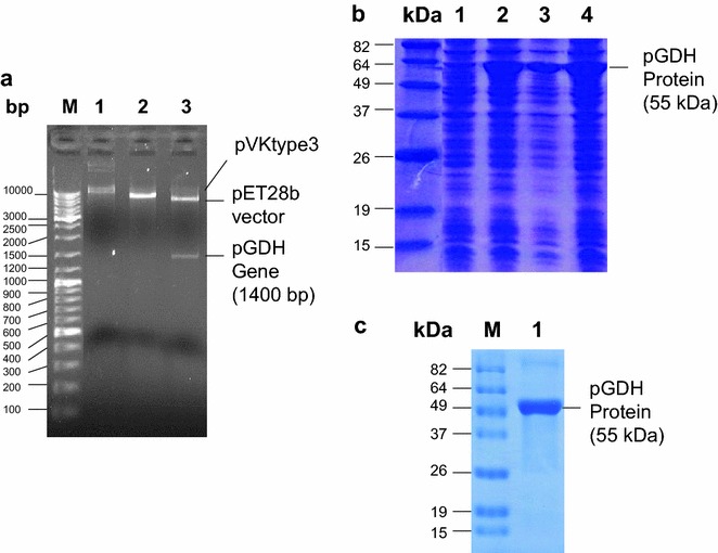 Fig. 4