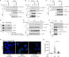 Fig. 2.