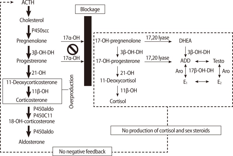 A case of 17 alpha-hydroxylase deficiency - PMC