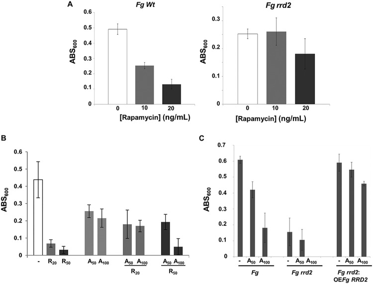 FIG 2