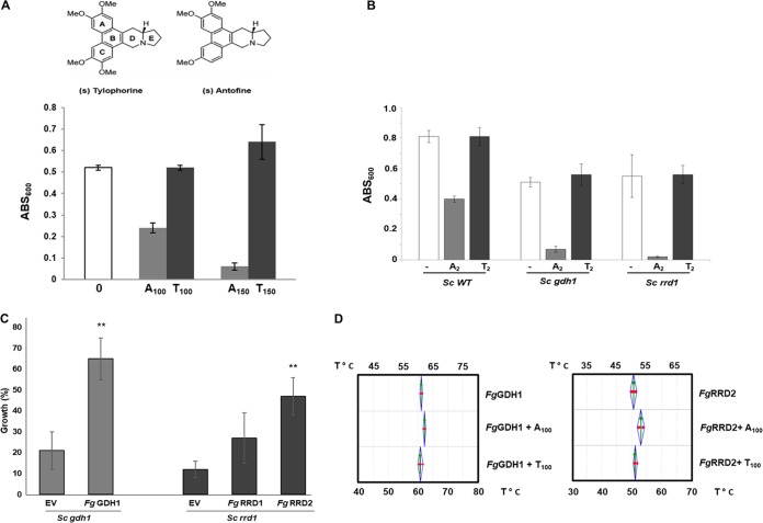 FIG 1