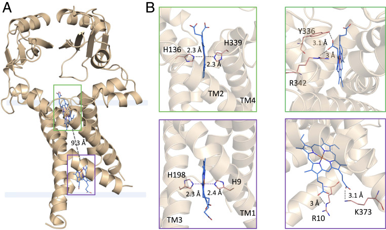 Fig. 2.