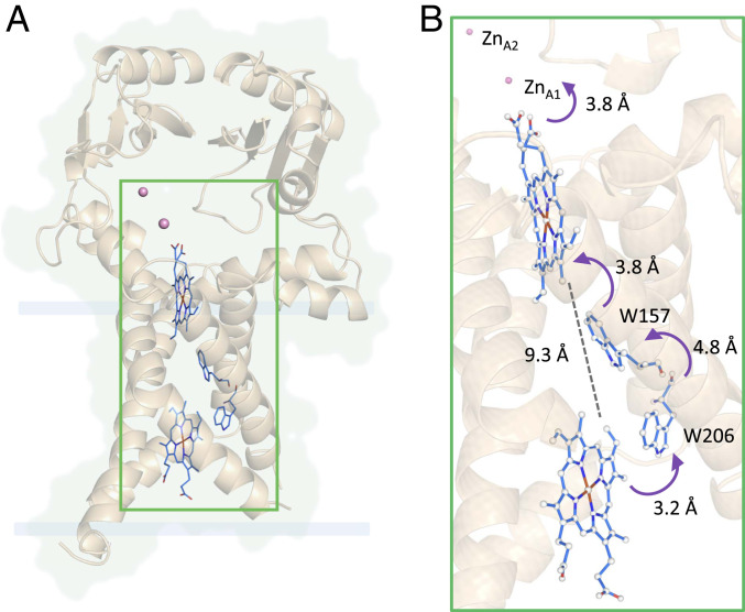 Fig. 4.