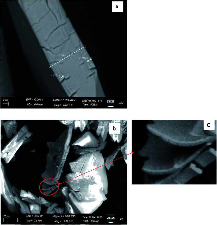 Fig. 7