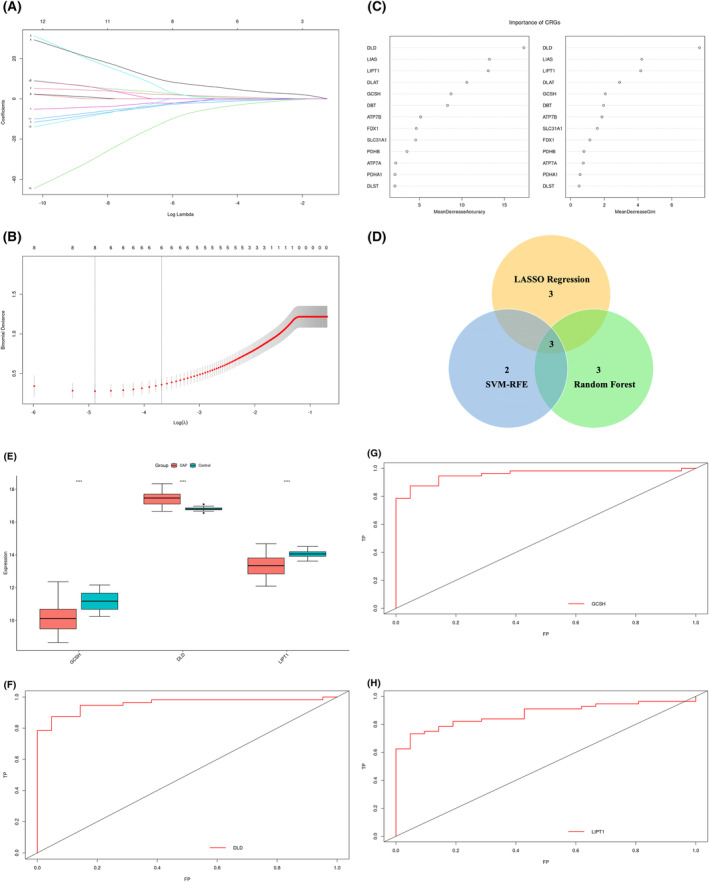 FIGURE 3