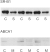 Figure 10.