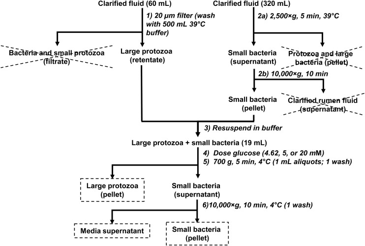 FIG 1