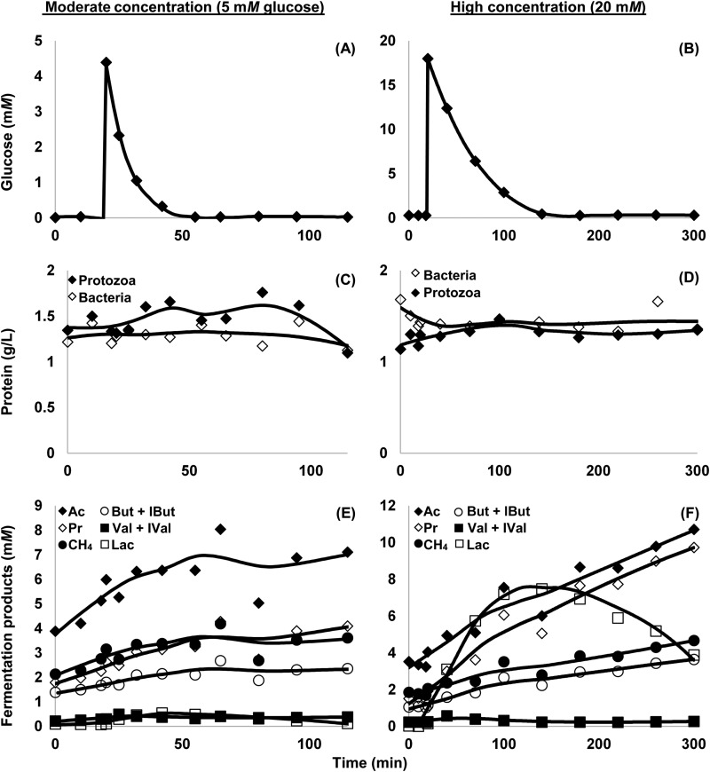 FIG 2