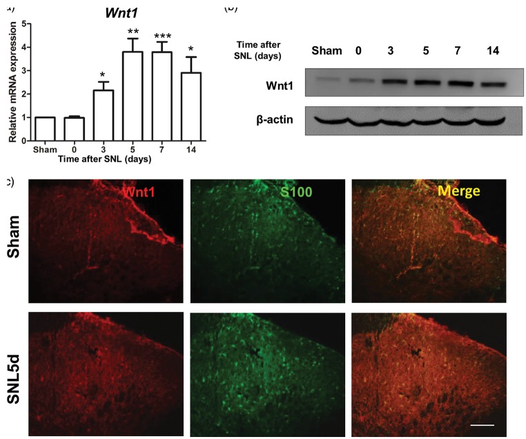 Figure 3.