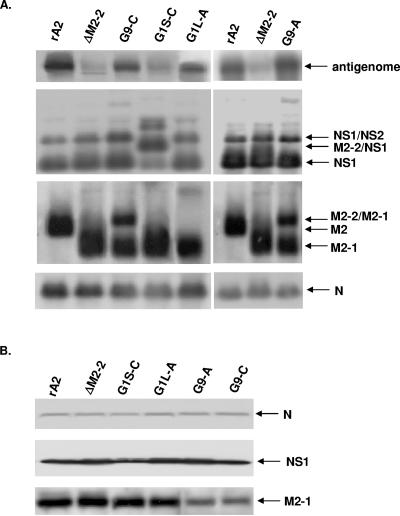 FIG. 3.