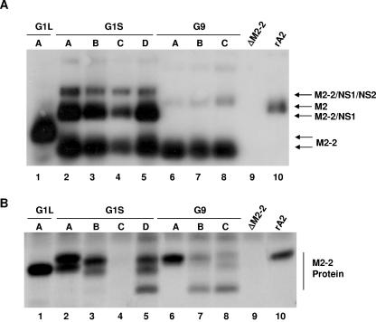 FIG. 4.