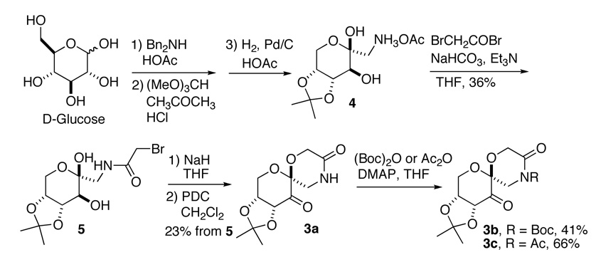 Scheme 1