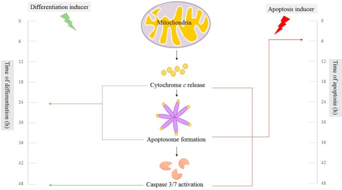 FIGURE 10.