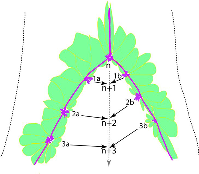graphic file with name nihms-1581680-f0005.jpg