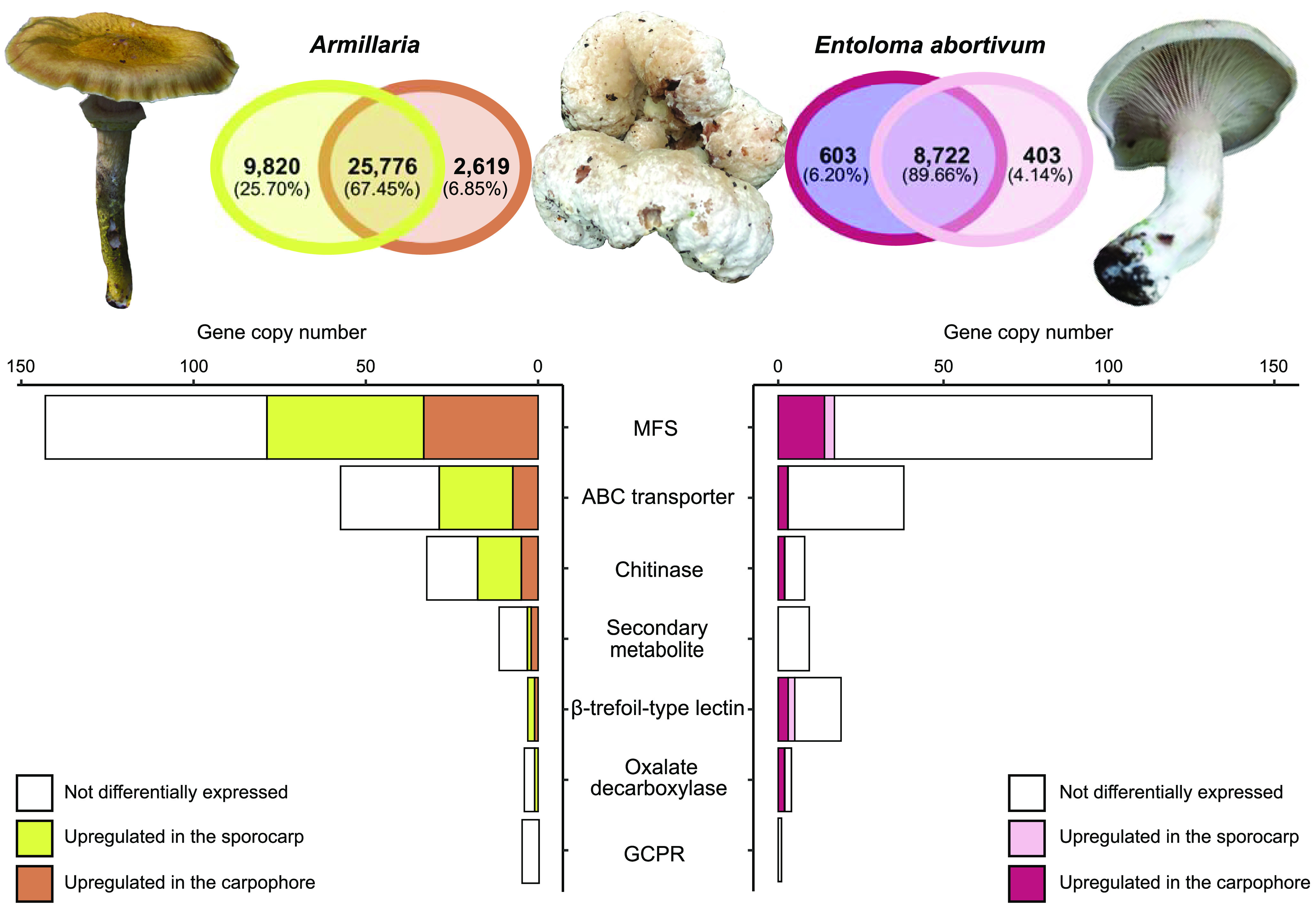 FIG 3