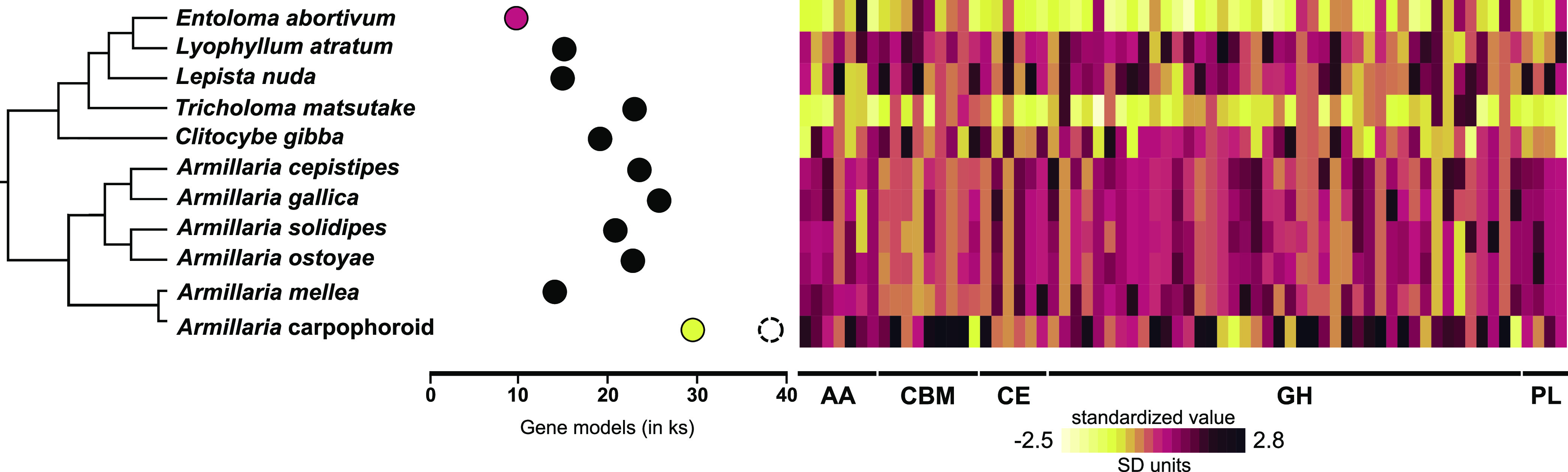 FIG 2