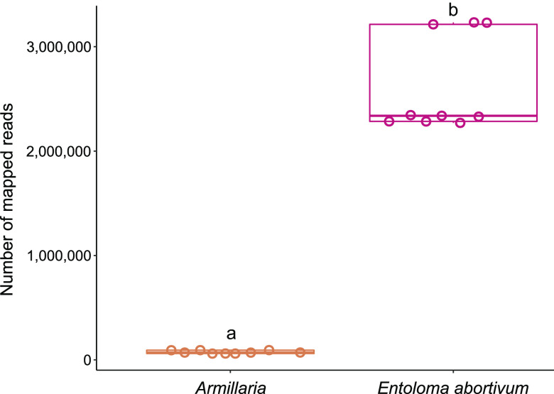 FIG 6