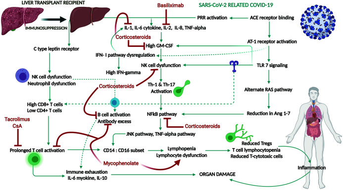 Fig. 2