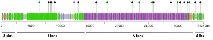 Extended Data Fig. 4