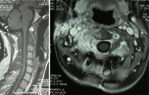 Fig. 4