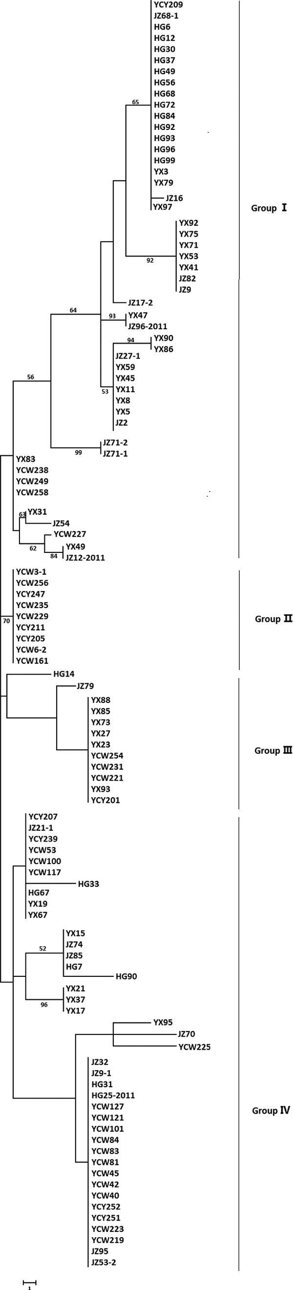 FIG 6