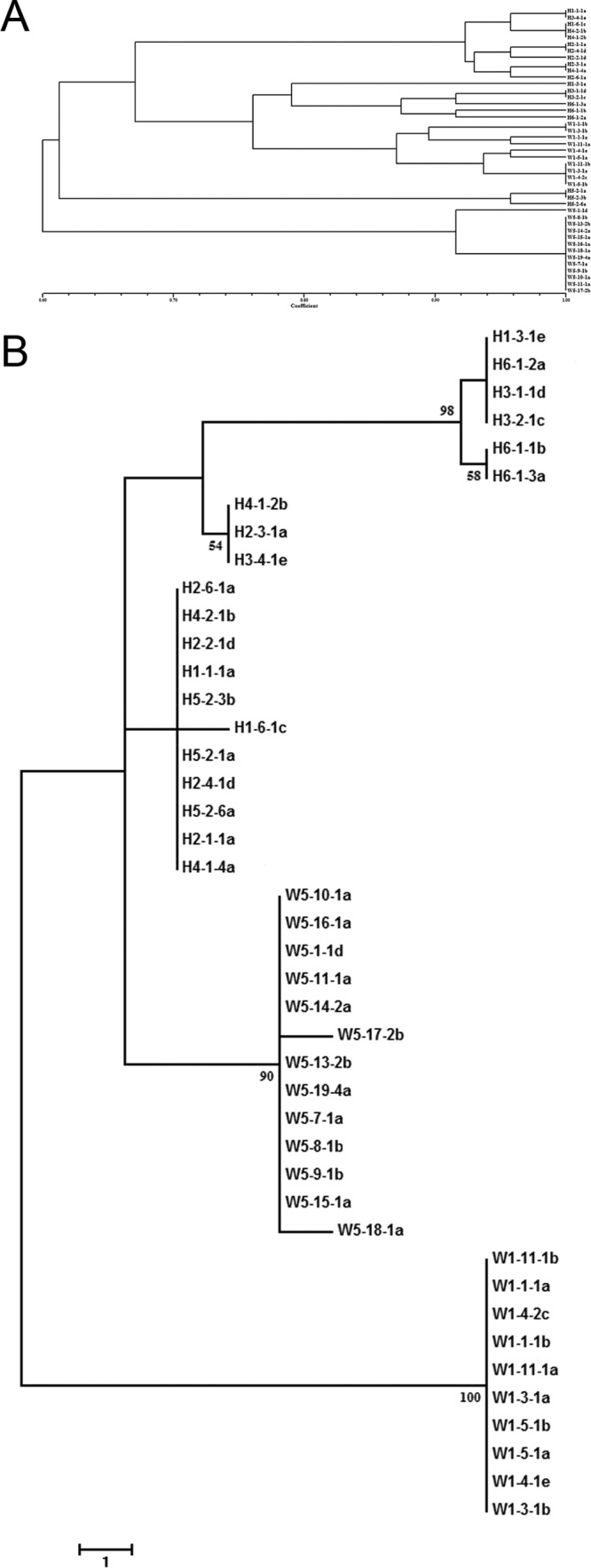 FIG 2