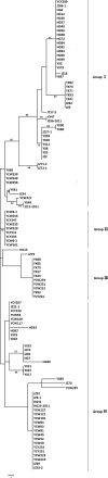 FIG 6