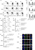 graphic file with name CAS-113-1235-g001.jpg